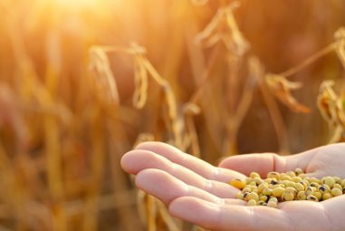 Todo lo que necesita saber sobre los muchos beneficios de la soya para la salud