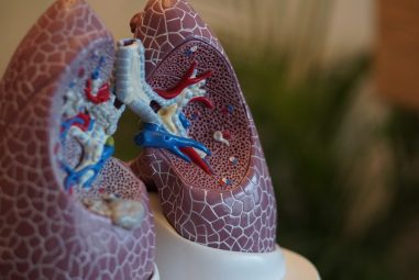 Todo lo que necesitas saber sobre el cáncer pulmonar: causas, síntomas y tratamientos