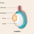 Tratamiento de cáncer: opciones y esperanza para una vida plena