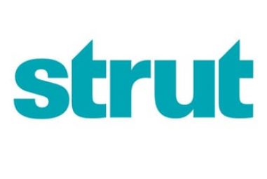 Strut health reviews